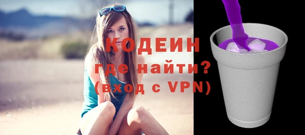 хмурый Михайловск