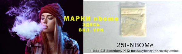 хмурый Михайловск
