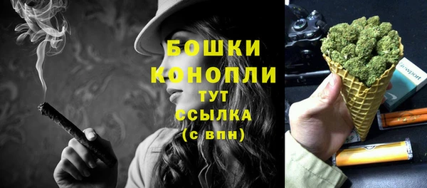 хмурый Михайловск