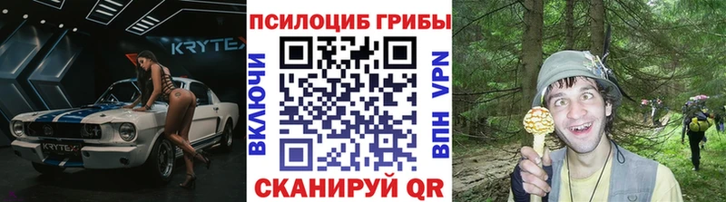Псилоцибиновые грибы Psilocybe  Иланский 